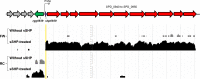 FIG 3