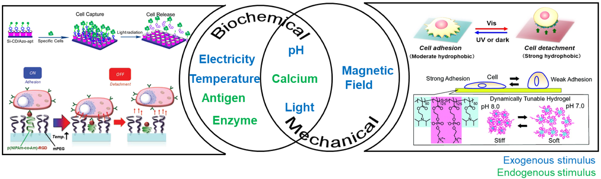 Scheme 1.