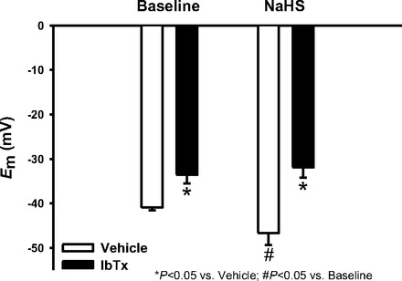 Fig. 6.