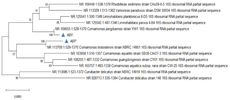 Figure 11