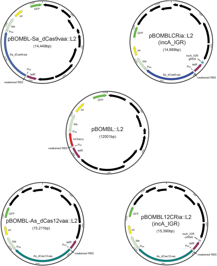 FIG 1