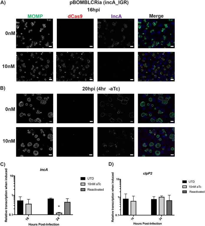 FIG 4