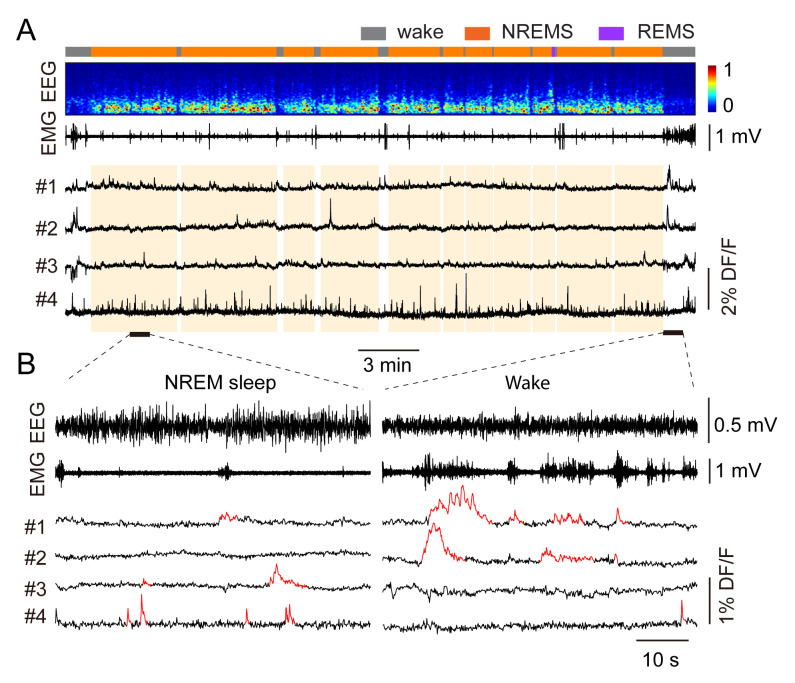 Figure 12.