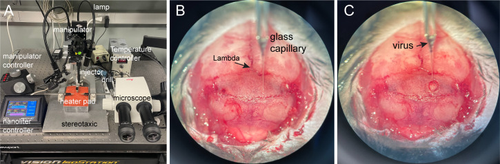 Figure 4.