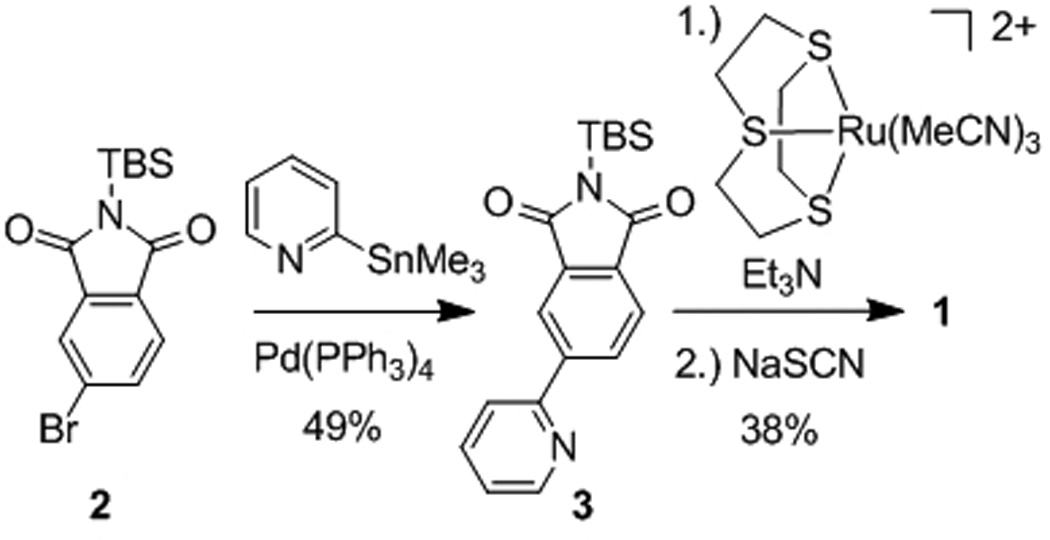 Scheme 1