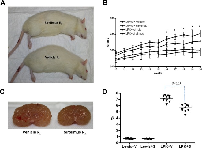 Fig 8