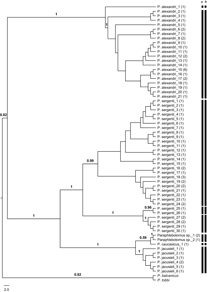Fig. 3
