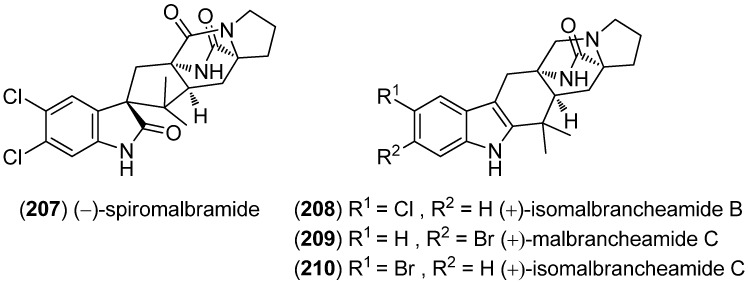 Figure 48