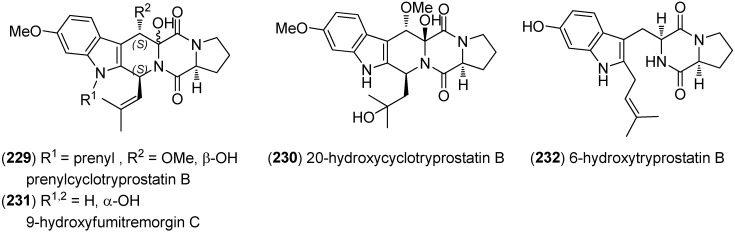 Figure 51