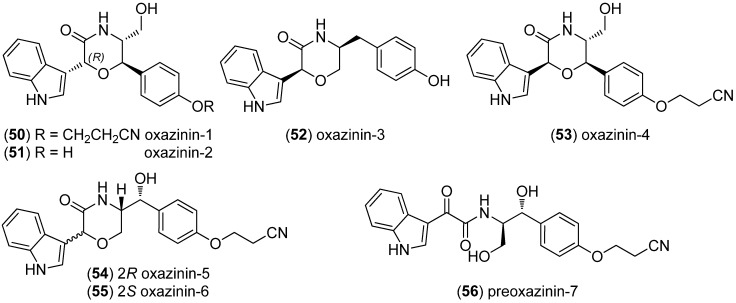 Figure 10