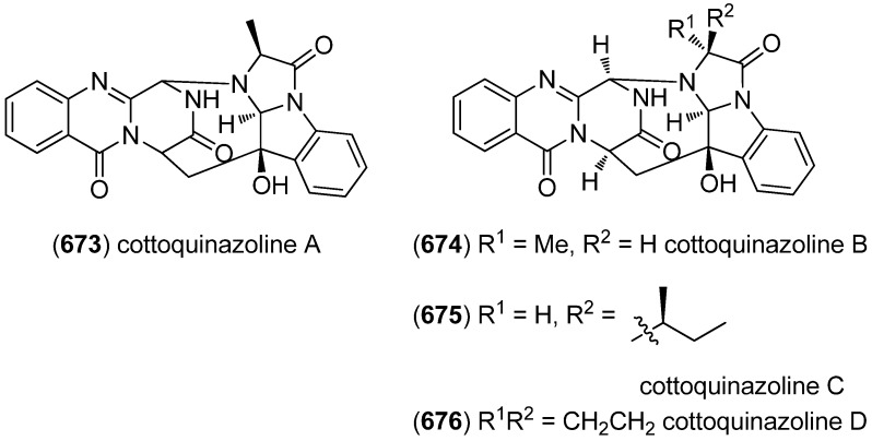 Figure 117