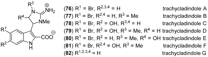 Figure 17