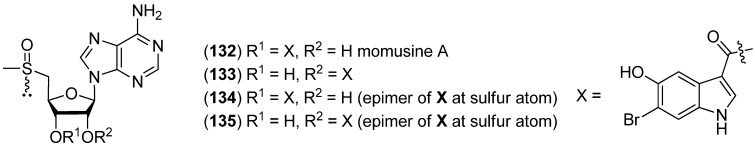 Figure 31