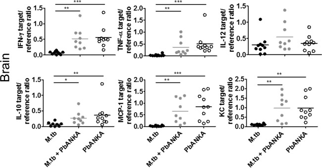 FIG 3