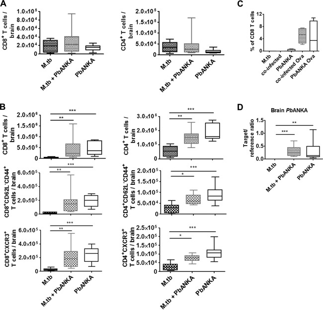 FIG 6