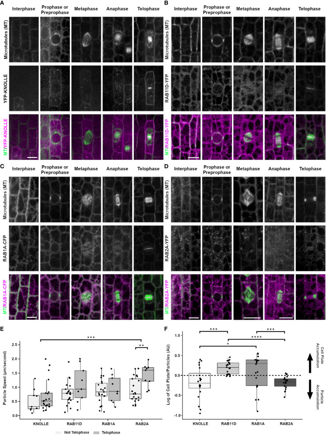 Figure 4