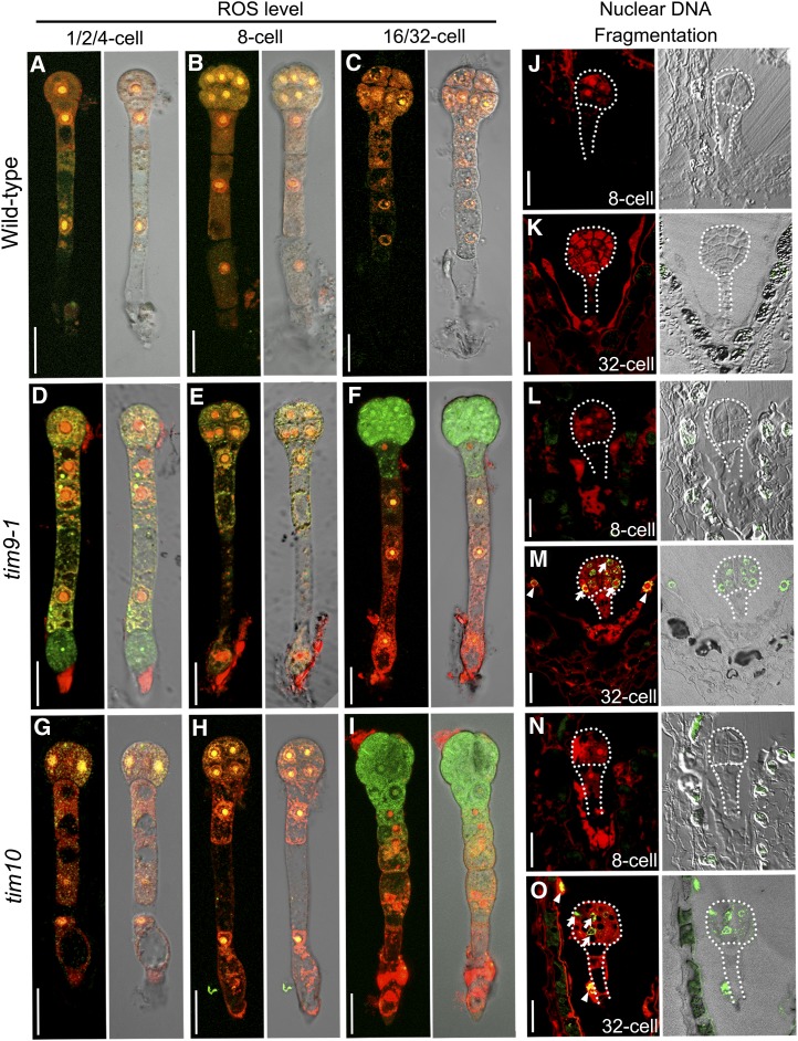 Figure 10.