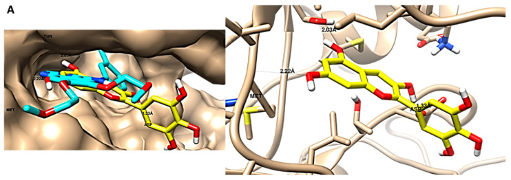 Figure 9