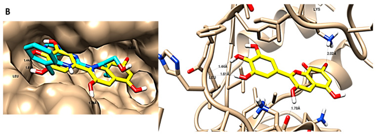 Figure 9