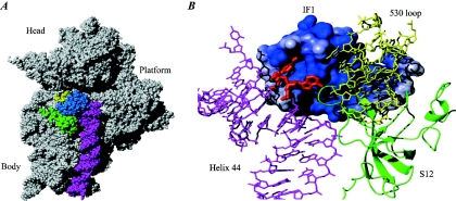 FIG. 8.