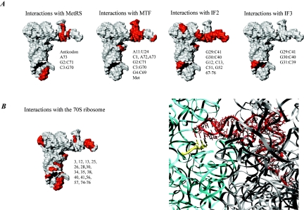 FIG. 6.