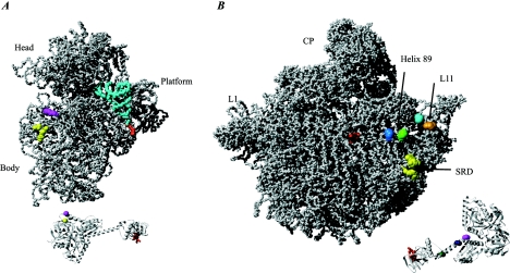 FIG. 10.