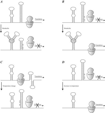 FIG. 13.