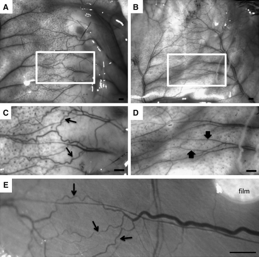 FIG. 7.