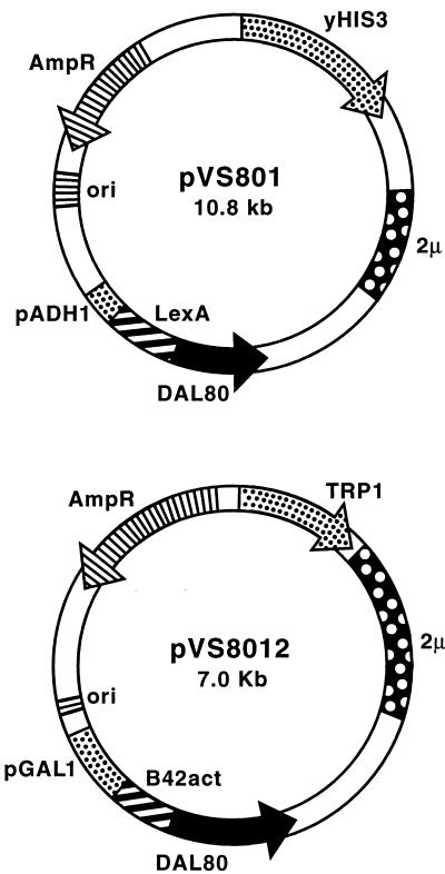 FIG. 1