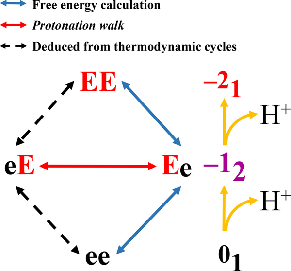 Figure 2: