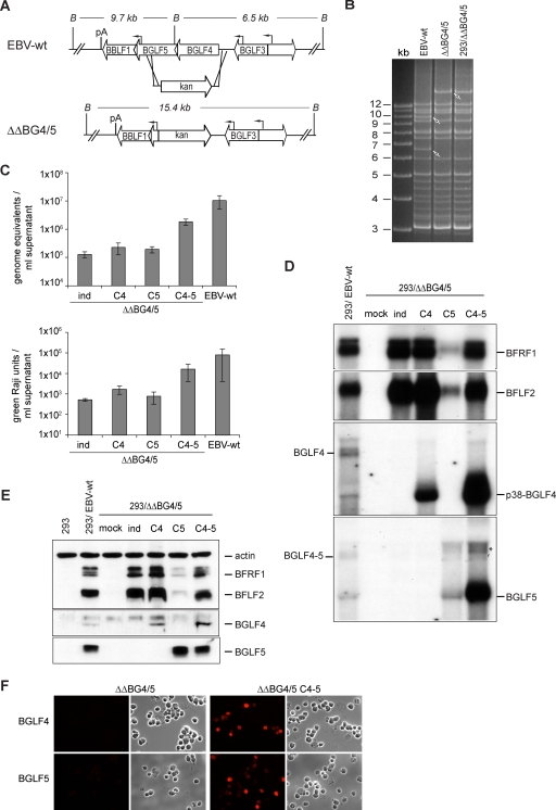 FIG. 6.