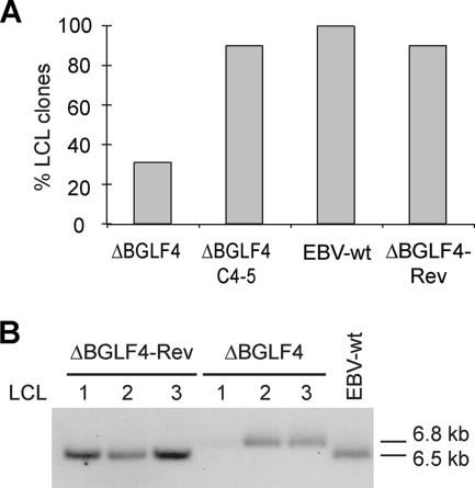 FIG. 7.