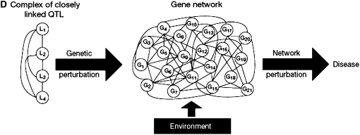 Figure 5.—