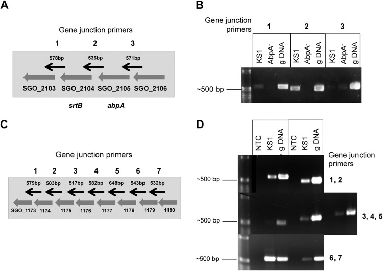 FIG 2