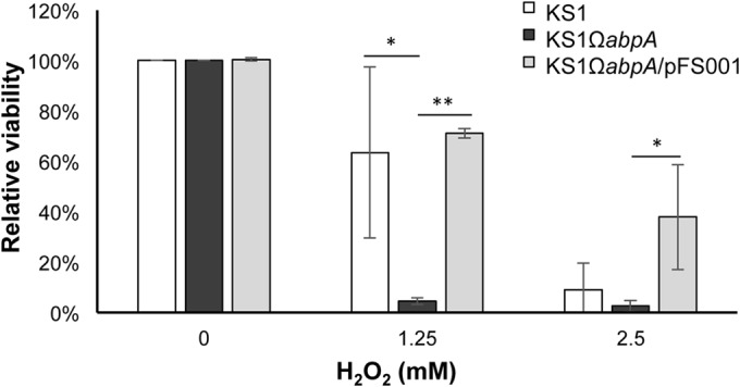 FIG 4