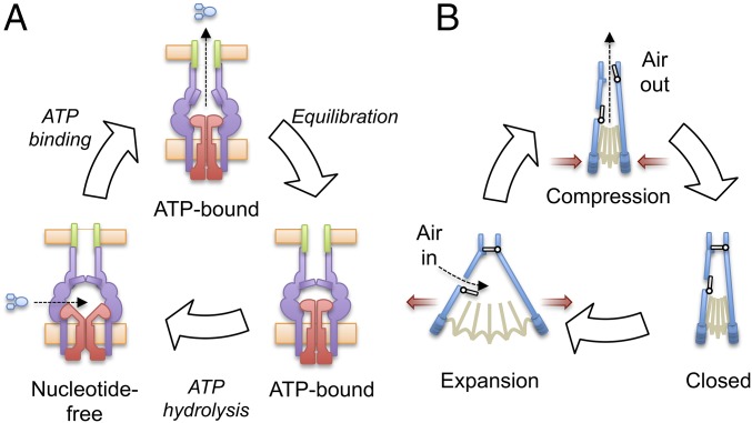 Fig. 5.