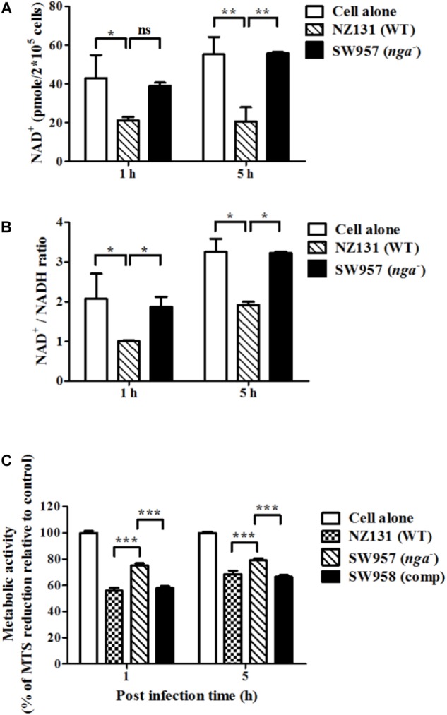 FIGURE 3