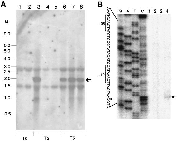 FIG. 7