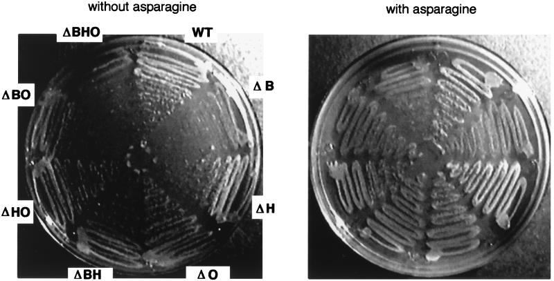 FIG. 5