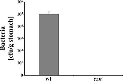 FIG. 6.