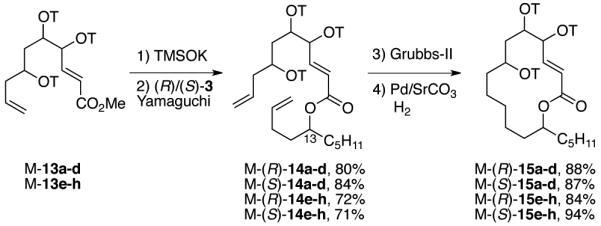 Scheme 3