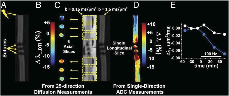 Fig. 8.