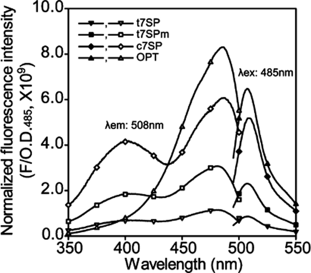 Figure 4