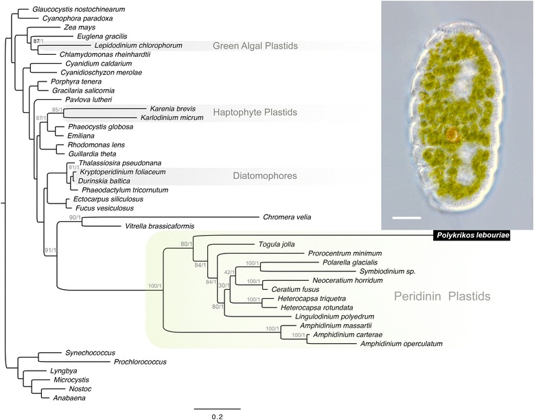 Fig. 3