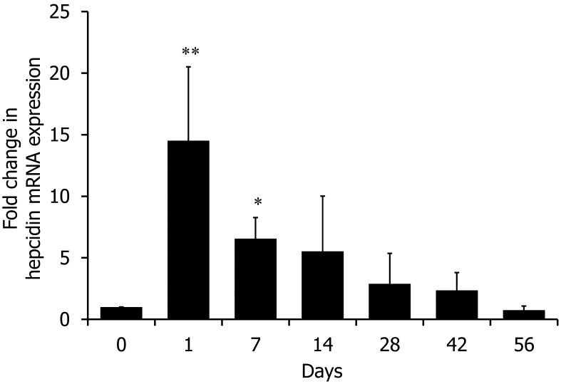 Fig. 6.