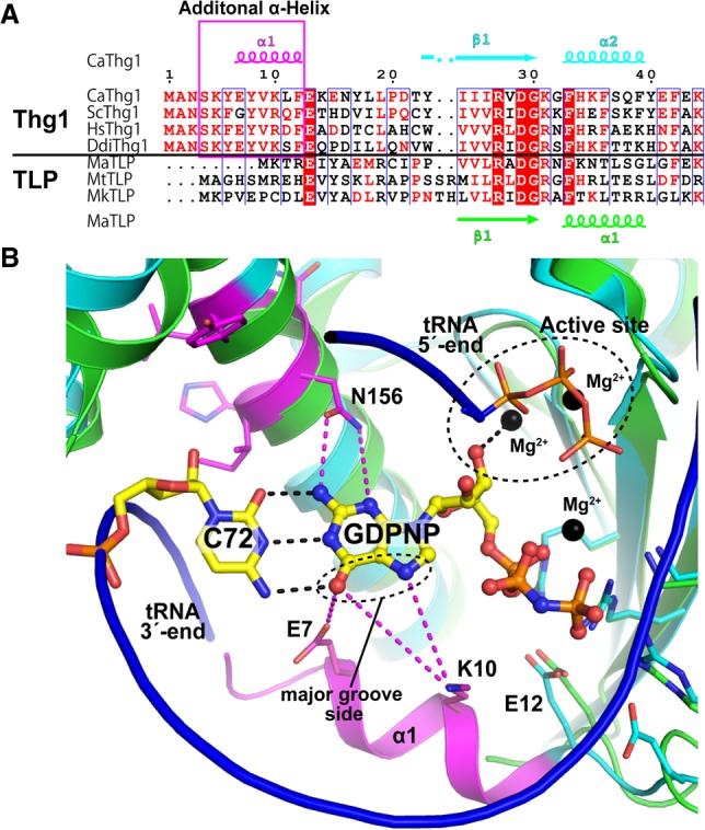 FIGURE 4.