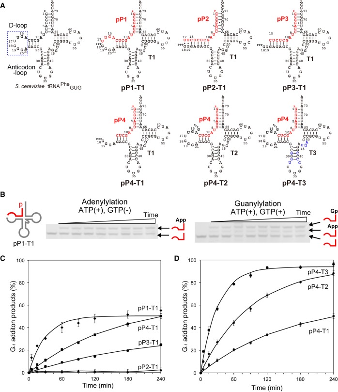 FIGURE 2.