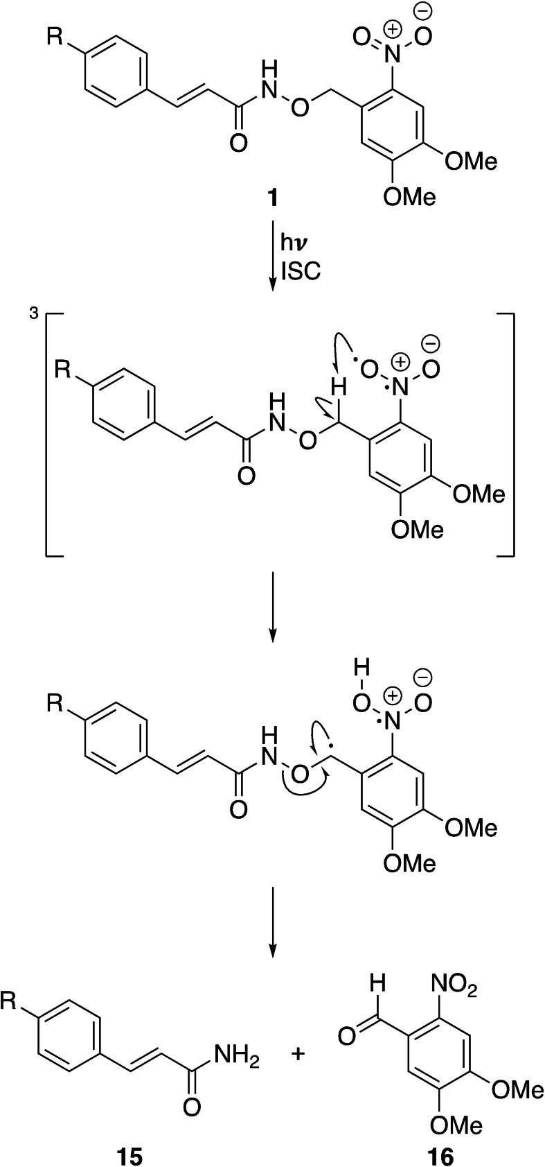 Scheme 2