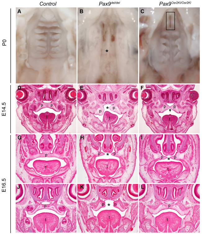 Fig. 10.