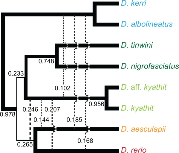 Fig. 5.